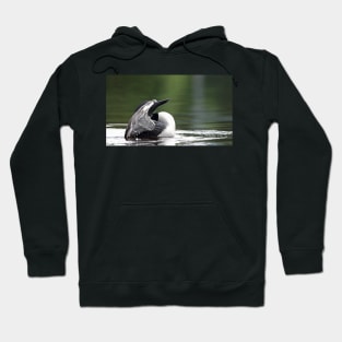 Hide n' seek - Common loon Hoodie